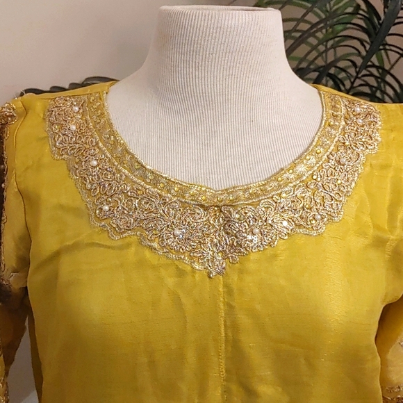 Embroidered fancy Multi color Pakistani/Indian 3Pc Shalwar suit Size M-L - Picture 7 of 15